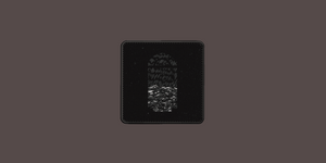 Grievances Patch
